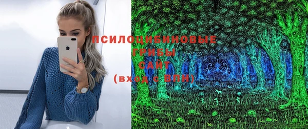 дурь Алексеевка