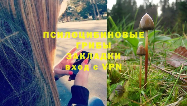таблы Семёнов