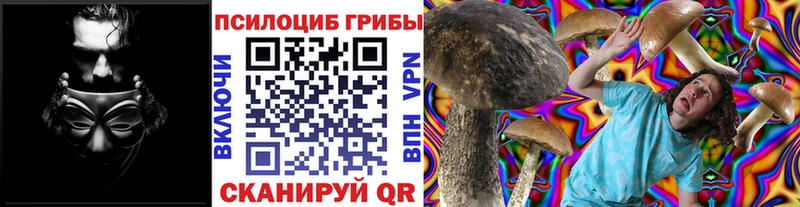 Галлюциногенные грибы Cubensis  где купить наркоту  Духовщина 